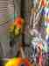 Conure