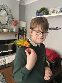 Lost Conure