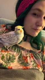 Lost Cockatiel