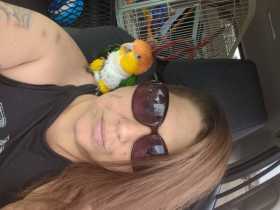 Lost Caique