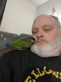 Lost Conure