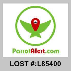 Lost Alexandrine