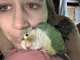 Conure