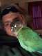 Conure